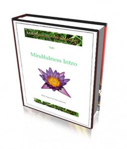 MindfulnessIntroDK